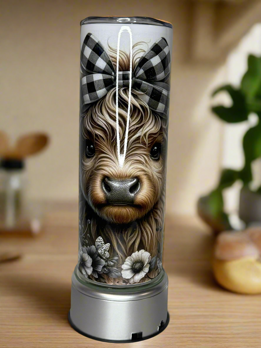 20 oz double wall stainless steel tumbler with a straw